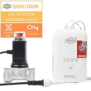 Nhà máy bán hàng trực tiếp <span class=keywords><strong>GAS</strong></span> Detector dừng van Home hệ thống báo động IP65 Chất liệu khí đốt tự nhiên <span class=keywords><strong>LPG</strong></span> nhiên liệu <span class=keywords><strong>gas</strong></span> solenoid van - Product Image 1