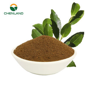 Премиум натуральный экстракт чая кудинг порошок травяная добавка Натуральный Порошок Листьев падуба - Product Image 2