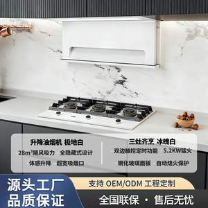 Campana Extractora FYZ90YT2T07 de 28m/min, Acero Inoxidable, Elevable, con Panel Táctil Inverter para Cocinas Domésticas - Product Image 4