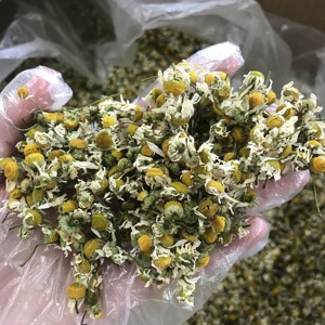 Yang gan ju-Manzanilla seca de alta calidad para té de flores, venta al por mayor, 4021 - Product Image 3