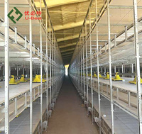 Vente flash : Équipement d'élevage avicole automatique de type batterie pour poulets pondeuses, capacité 10 000 poulets par cage