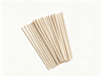 Pailles à boire personnalisées en fibres végétales PLA et bagasse, biodégradables, compostables, écologiques, pour café, jus, bar et fêtes