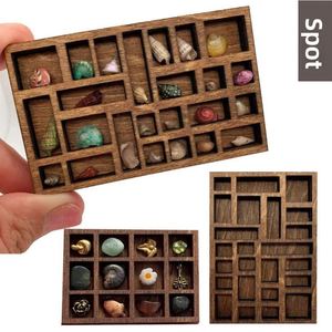 Estante de Exhibición de Madera en Miniatura para Fábrica, Organizador de Múltiples Compartimentos para Especímenes, Bandeja de Colección de Conchas Marinas y Piedras de Cristal para el Hogar - Product Image 1