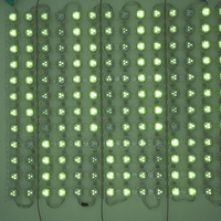 Source de lumière ponctuelle miniature RVB programmable, étanche et haute luminosité pour l'éclairage extérieur des toits et façades d'hôtels