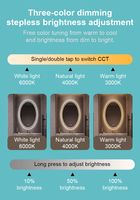 Espejo de Baño Moderno Ovalado con Iluminación LED, Montado en la Pared, Táctil Inteligente, Antivaho, con Luz Regulable, para Hotel, Hogar y Baño