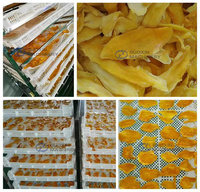 Fabrieksdirecte verkoop grote capaciteit automatische roestvrijstalen warmtepompdroger fruitdroger mango droogmachine professioneel