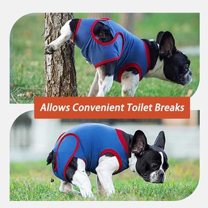 Traje de recuperación <span class=keywords><strong>para</strong></span> <span class=keywords><strong>perros</strong></span>, monos <span class=keywords><strong>para</strong></span> gatos <span class=keywords><strong>para</strong></span> heridas abdominales, <span class=keywords><strong>camisa</strong></span> de recuperación <span class=keywords><strong>para</strong></span> hombres y mujeres, traje quirúrgico <span class=keywords><strong>para</strong></span> mascotas - Product Image 2