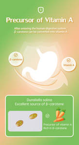 Hetchyn marka saf doğal ücretsiz örnek mikroalg tozu 3% beta karoten tozu Dunaliella salina <span class=keywords><strong>Extractt</strong></span> - Product Image 2