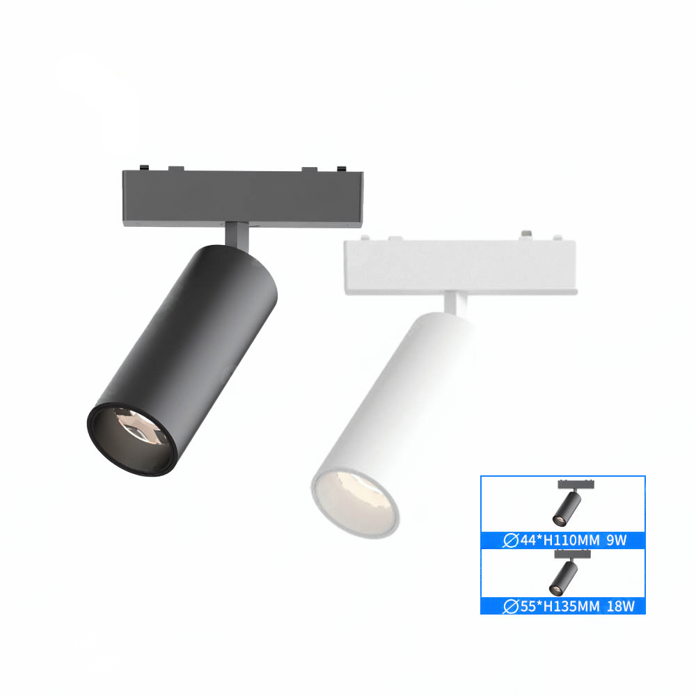 Projecteur orientable