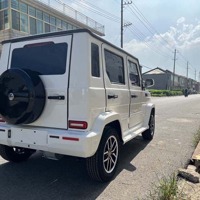 Chinese Small Electric Cars High End Long Range Low Speed Smart Electric Vehicle for Elderly