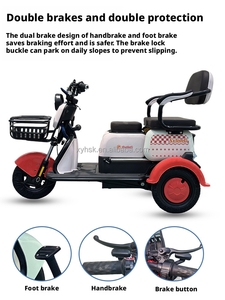 Triciclo Elettrico Stuary 600W con Motore Posteriore da 48V e Batteria al Piombo-Acido per Uso Esterno a Lungo Termine - Product Image 5