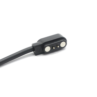 Câble de charge pour batterie externe USB 2.0 vers 2 broches Pogo Pin pour montre intelligente