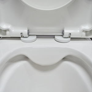 <span class=keywords><strong>WC</strong></span> MWD WaterMark Easy Height, compatible Ambulant, à poser contre le mur, avec cuvette surélevée 460 mm et siège à fermeture douce - Product Image 5