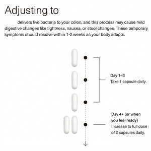 Integratori Alimentari Salutari OEM Capsule per l'Intestino Capsule Probiotiche Dosaggio per 30 Giorni - Product Image 3