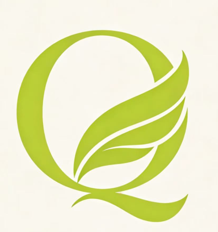Hebei Qiyi Medical Technology Co., Ltd. logo
