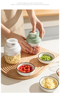 Broyeur à ail électrique Portable, 100ML, nouveau Mini appareil Usb pour aliments, légumes et viande