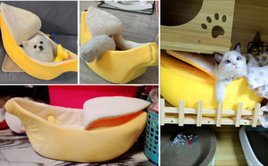 Lit pour chat Banana Cat, mignon, amusant, confortable, tapis pour chat, lits chauds, durables, portables, panier pour animaux de compagnie, niche, coussin pour chien, doublure blanche, multicolore - Product Image 6