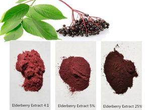 Factory supply <strong>elderberry</strong> fruit sambucus <strong>extract</strong> 5% 25% anthocyanidin powder Huakang - Product Image 4