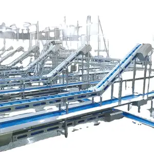 Russia Automatic Poultry Chicken Quail Meat Processor Equipment Complete Full Slaughtering Processing Line Equipment Sale