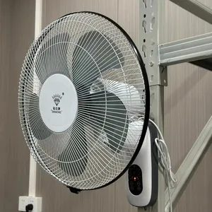 Defeng 16 Inch Met Afstandsbediening Ventilator Voor Thuis 5 Plastic Blade Luchtkoeling Hoge Kwaliteit Plastic Voetstuk Elektrische Wandventilator