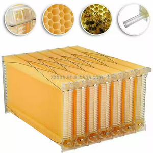 Nueva <span class=keywords><strong>Colmena</strong></span> China de Madera Pintada con Flujo Automático, Juego de 7 Cuadros Automáticos, Suministros de Apicultura, 1 Año de Garantía - Product Image 4