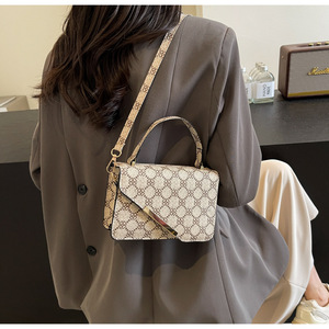 Bolso de Mano para Mujer, Diseño 2025 Louis Version Famous REP, Último Modelo, Estilo Chino, con Cierre de Cremallera, Dos Asas, Portátil - Product Image 6