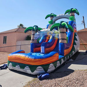 Jeux de plein air de haute qualité grand toboggan gonflable pour enfants toboggan gonflable piscine toboggan gonflable pour adultes - Product Image 2