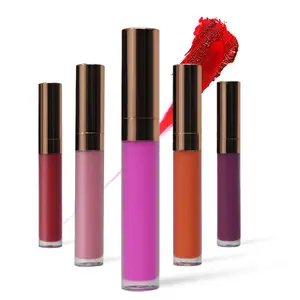 Sıcak satış kozmetik makyaj özel Logo 30 renkler uzun ömürlü mat Lipgloss