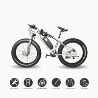 Gros pneu 1000W 1500W 48V 52V Brushless Direct Hub Motor Kits de Conversion de vélo électrique avec affichage du contrôleur