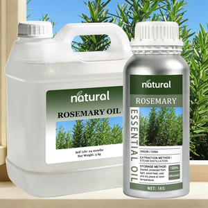 Natural Organic Rosemary Essential Oil Hair Growth Serum Hair <strong>Regeneration</strong> Treatment <strong>Scalp</strong> Care Massage <strong>Scalp</strong> Hair Care Oil - Product Image 1