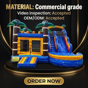Château gonflable commercial à thème de dessin animé, château bleu en PVC, maison de rebond avec souffleur, parc pour enfants, chiens et famille, vente chaude - Product Image 2