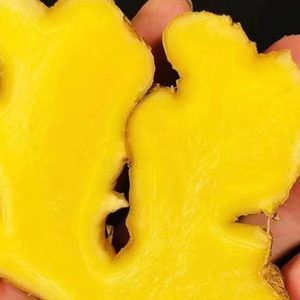 Gingembre jaune de Yunnan Luoping, gingembre jeune de 3 ans, fraîchement cueilli et expédié, gingembre cru pour la post-partum et l'allaitement - Product Image 4