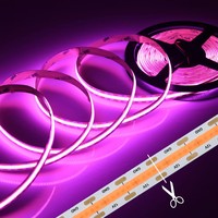 Meistverkaufte LED-Streifenbeleuchtung Bluetooth APP 12V 5050 COB USB Smart Streifenbeleuchtung TV-Hintergrundbeleuchtung Rosa Farbige LED-Streifen für Zuhause