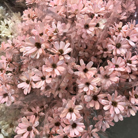 Source d'usine de fleurs séchées, nouveau produit, graine de tournesol, bricolage, fleur pour décoration de mariage, cadeau romantique de saint-valentin