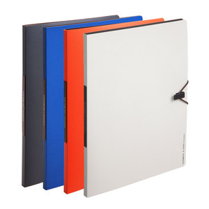 Gemini <b>Document</b> <b>Folder</b> A4 Size 20-Pouch Plastic File Organizer with Insert Pockets <b>for</b> Office Use - Product Image 1