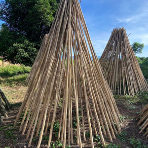 Thin Natural <b>Bamboo</b> Rods <b>Raw</b> <b>Materials</b> for Agricultural Cultivation Support - Product Image 4