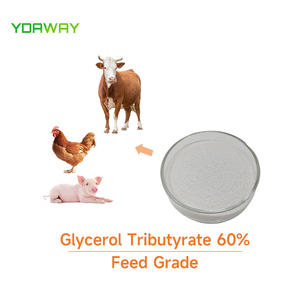 Tributyrine 60% Poeder Glyceryltributyraat 60% Cas 60-01-5 Voor Voeder Voor Varkens Van Pluimvee - Product Image 5