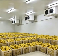 Chambre froide de haute qualité pour la conservation des fruits de mer, système de réfrigération et de congélation, chambre froide à plain-pied, la plus vendue