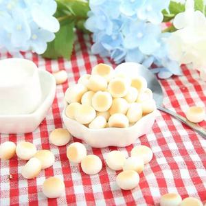 Sıcak satmak Pet Ideal köpek davranır Pet buğulanmış ekmek bisküvi köpek aperatif 100g Polybag ambalaj - Product Image 6