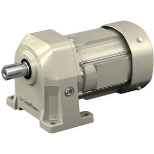 Reductor de Engranajes con Motor para Máquinas Herramienta, Varias Medidas, Relaciones de Reducción y Especificaciones de Motor - Product Image 1