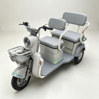 Tricycle électrique à 3 roues pour passagers, fabriqué en Chine, scooter électrique pour adultes, pour les déplacements quotidiens en ville en famille