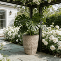 Ensemble de pots à fleurs en céramique de style américain, texture côtelée, beige, écologique, durable, finition émaillée, pour la maison, l'intérieur, l'extérieur, le jardin