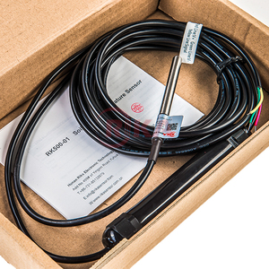 <span class=keywords><strong>RIKA</strong></span> RK500-01 Pas Cher <span class=keywords><strong>Prix</strong></span> Usine PT100/PT1000 4-20mA/RS485/0-5V Sol Liquide Sonde de Température D'eau Capteur - Product Image 3