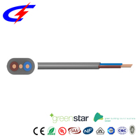 Fil de construction plat BS 6004 624-Y, câble double et à la terre, isolé en PVC, cuivre, 300/500V