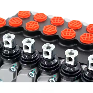 วาล์วควบคุมทิศทางไฮดรอลิก P40-G12-G38 |   โซลูชันวาล์วไฮดรอลิกแบบกำหนดเอง, บริการผลิตและดัดแปลงแบบ OEM - Product Image 4