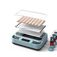 Nouvel incubateur domestique compact 10 œufs à double alimentation, retournement automatique des œufs, taux d'éclosion de 98 % pour poussins, canards, oies, pigeons