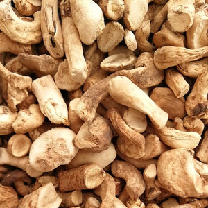 Корни <span class=keywords><strong>Shiitake</strong></span>, оптовая продажа, чистые сушеные стебли <span class=keywords><strong>shiitake</strong></span> для продажи - Product Image 6