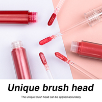 Boîtes de gloss à lèvres liquide minéral végétal imperméable longue tenue à marque privée, logo personnalisé, double embout, végétalien, couleurs variées