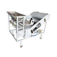Machine de tri intelligente par IA pour noix, grains de café, cerises, ail, piments, olives, tomates, viande séchée, avec trieur de couleur en plastique