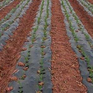 De alta calidad de plástico negro barato mantillo película agricultura Mulching de película de plástico - Product Image 6